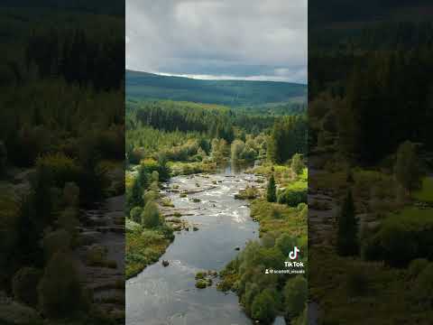 Otter Pools in the heart of the Galloway Forrest #shorts #Gallowayforrest #otterpools