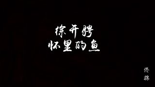 徐开骋 - 怀里的鱼 电视剧《我在大理寺当宠物》片头曲