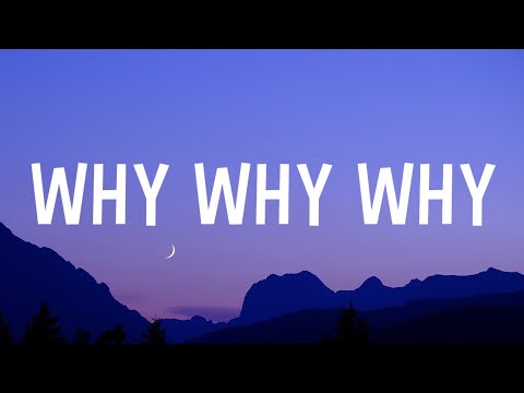 Shawn Mendes - Why Why Why (Lyrics)