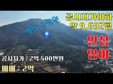 [급매] 안성임야매매-공시지가이하-약 9,692평 [평당 2만원]