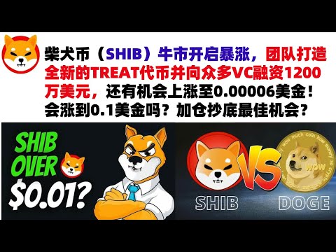 柴犬币（SHIB）牛市开启暴涨，团队打造全新的TREAT代币并向众多VC融资1200万美元，还有机会上涨至0.00006美金！会涨到0.1美金吗？加仓抄底最佳机会？#shib币#柴犬币#屎币行情分析