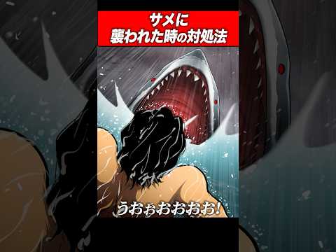 サメに襲われた時の対処法【拷問ソムリエ編】#shorts