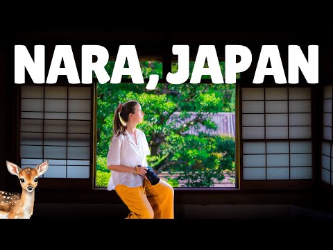 A day trip to NARA | Japan Travel Vlog 🦌 Nara Deer Park, Todai-ji Temple, Viral Mochi 🍡 #narajapan