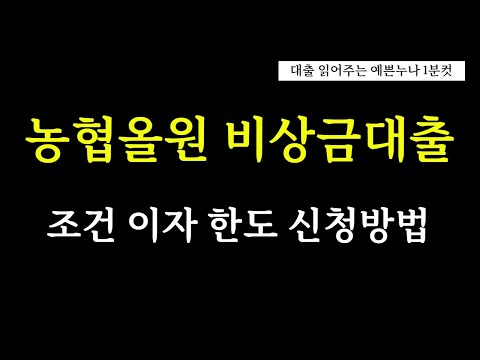 농협올원 비상금대출 조건 이자 한도 신청방법 이건 꼭 알아야해요