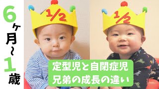 【自閉症と分かるまで】生後6ヶ月〜1歳までの兄弟の成長の違い