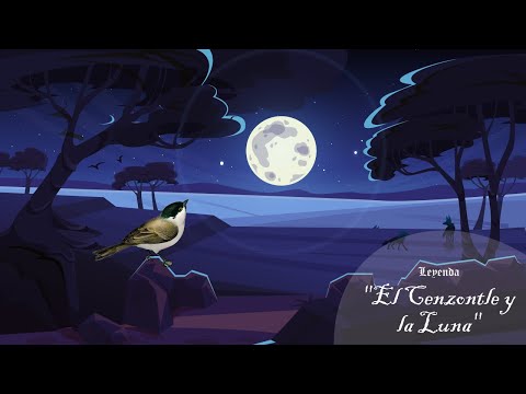 "El Cenzontle y la Luna" - Leyenda de México | Leyendas para niños | Cuenta la leyenda