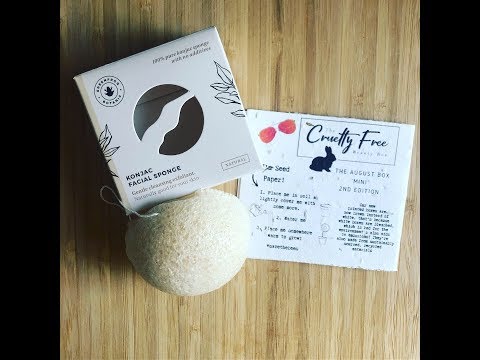 Cruelty Free Beauty Box! Mini series- Pt. 2 Greenfrog Konjac Facial Sponge