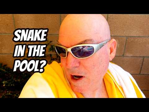 Summer poolside chat and Q & A