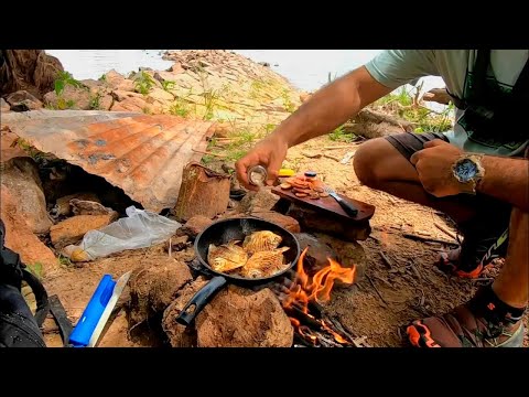 ATRAPO un PEZ ENORME, PESCA y COCINA en la isla. Exploro, pesco muchas especies.