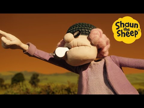 Shaun the Sheep 🐑 Granny Race! - Cartoons for Kids 🐑 Full Episodes Compilation [1 hour]