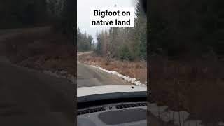 bigfoot on native land bc #vanlife #britishcolumbia #trending #fyp #fypシ #livingthedream