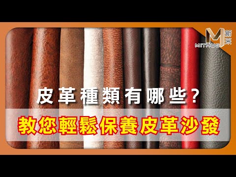 #新采家具小常識 皮革種類有哪些 教您輕鬆保養皮革沙發【新采精品家飾】