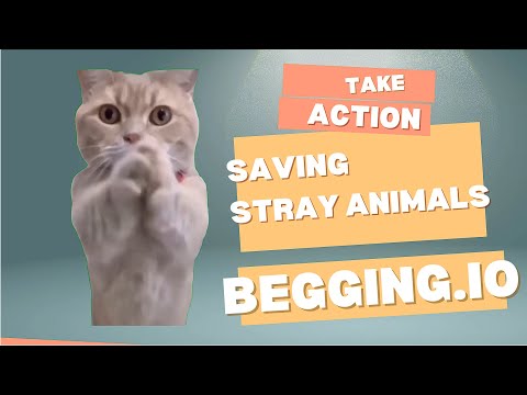 Save Stray Animals – Begging.io