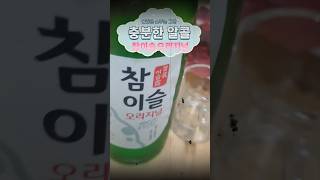 참이슬오리지널이 좋은 이유 #soju #소주