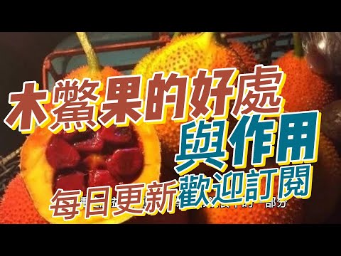 EP120 木鱉果的好處與作用 健康 素食 養生 天然 食療 原形食物