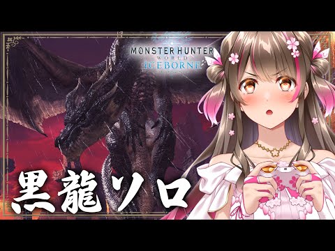 ミラボレアスにソロ挑戦だー！ライトボウガンでいく【モンスターハンターアイスボーン steam】