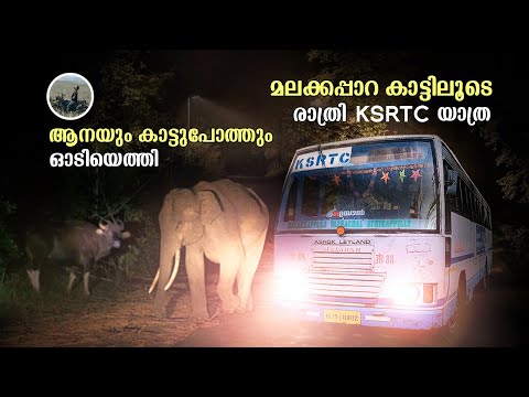 Malakkappara Bus Trip | കാട്ടിലൂടെ രാത്രി KSRTC യാത്ര | Athirappally | Vazhachal | Valparai | free20