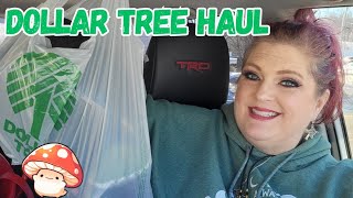 DOLLAR TREE HAUL | AMAZING NEW FINDS | January 14, 2025