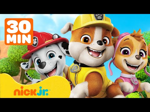 Rubble & Crew | ¡Rubble y Marshall salvan al bosque y realizan rescates!| 30 minutos | Nick Jr.