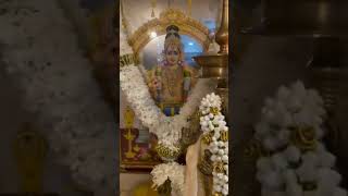 Swamy Sharanam Ayyappa #ayyappa #2023 #hyderabadpandugaluofficial #shortvideo