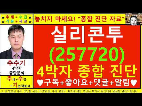 실리콘투(257720)종목진단및향후주가전망 추수기(추수)전문가