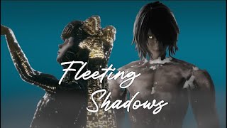 Fleeting Shadows - a NieR mashup/remix