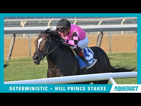 Deterministic - 2024 - Hill Prince