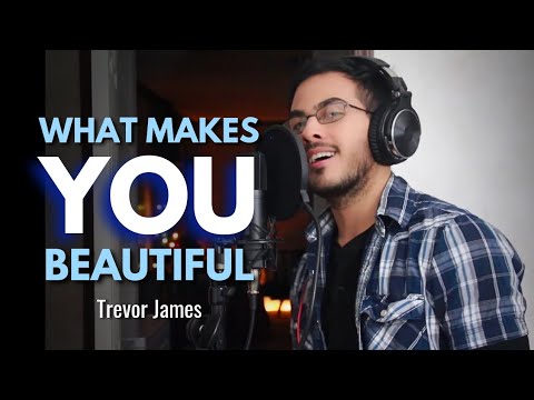 What Makes You Beautiful - One Direction (Cover by Trevor James)