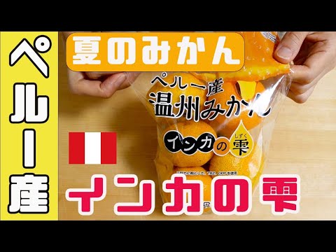 初夏に「みかん」が味わえる！ペルー産「温州みかん」をご紹介