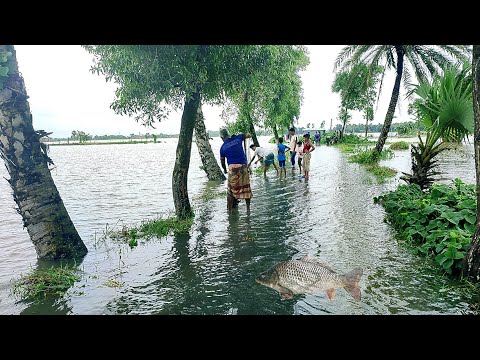 আমাদের গ্রামে বন্যায় রাস্তার উপর মাছ ধরার কোশল |amazing Fishing video #fish #fishing #villagefish