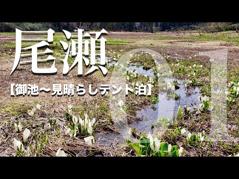 【尾瀬】 前編/水芭蕉開花！残雪残る御池から見晴キャンプ場への一泊二日のテント泊トレッキング