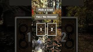 Pick a Card - Yes/No Answer - Timeless Reading #shorts #dailytarot #tarotreading #tarotinhinditoday