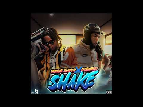 Prince Swanny ❌ Skillibeng - SHAKE (Official Audio)