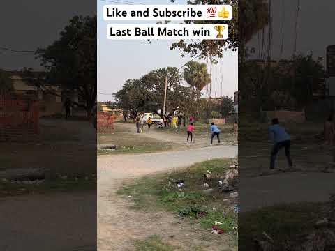 Last ball pe match jita 🥇🏆| village cricket #cricketlover #viral #trending #youtubeshorts #shorts