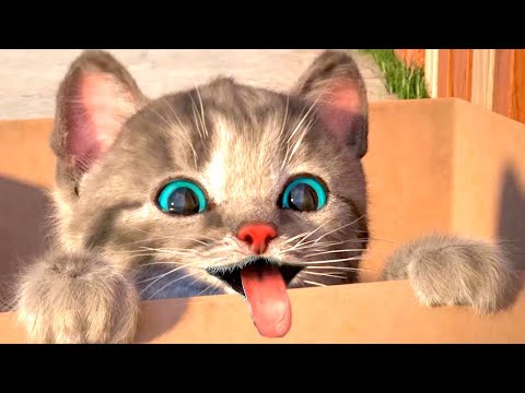 ANIMATED LITTLE KITTY ADVENTURES 😸 | CUTE LITTLE KITTEN  Cat Play Fun Pet New episodes HD