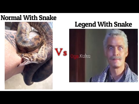 Normal With Snake Vs Legend With Snake !! Memes #viralmemes #mems