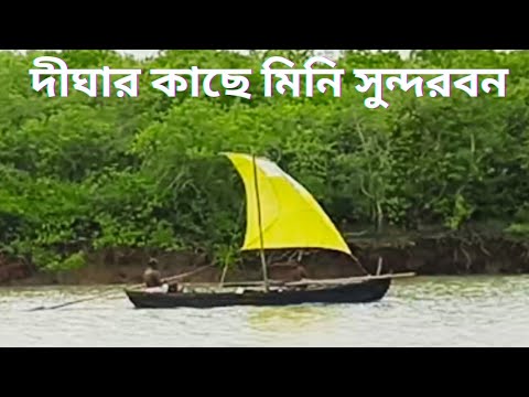 দীঘার মিনি সুন্দরবন.Bichitrapur Digha.Digha Bichitrapur.bichitrapur mangrove sanctuary.