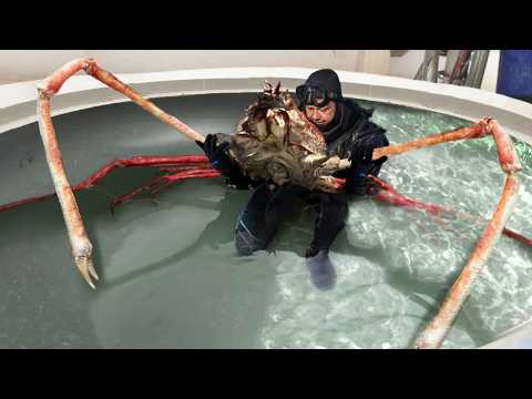 15 Most Terrifying Crustaceans In The World