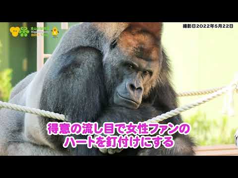 758探訪～東山動植物園編1/3～【大塚剛央・松岡美里】