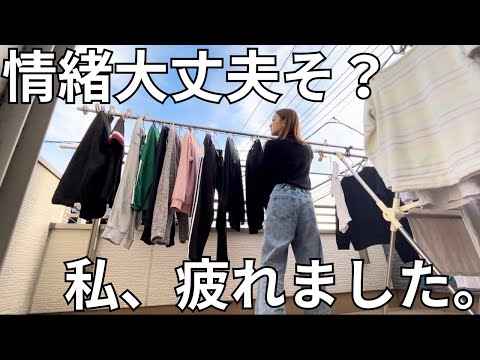 平日主婦vlog👩🏼頑張りすぎない掃除🫧お弁当🍱