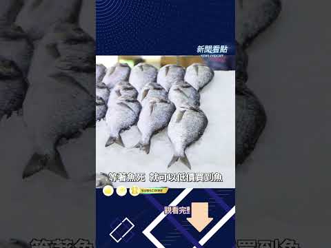 躺不平...卷不動...各行業都在「等魚...」