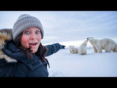 Face to Face with Wild Polar Bears