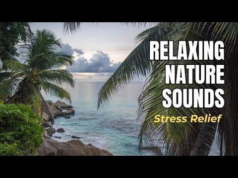 Relaxing Nature Sounds for Stress Relief