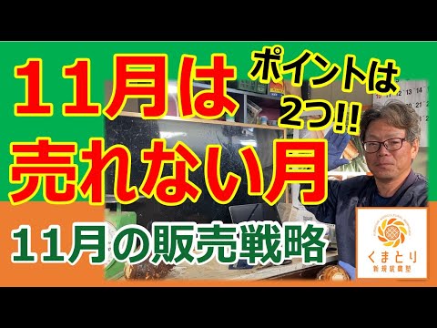 2024年11月 売れない月の販売戦略