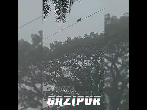 Gazipur beautiful morning