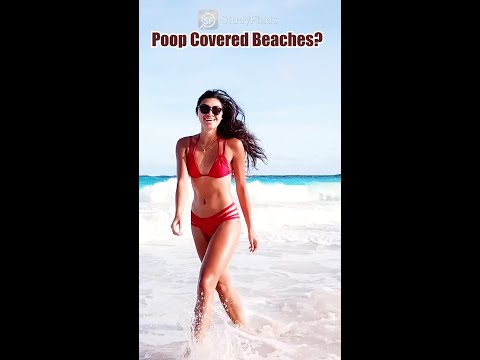 Top Beaches With The Human Waste