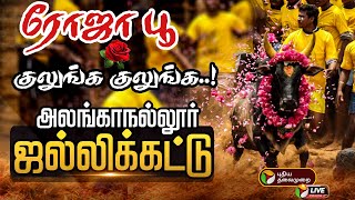 🔴LIVE: Alanganallur Jallikattu | ரோஜா பூ குலுங்க குலுங்க அலங்காநல்லூரை அலங்கரிக்கும் ஜல்லிக்கட்டு