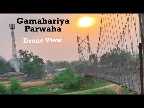 Our Beautiful Gamahariya Parwaha || Village || Lokendra Official #village #gamahariya #parwaha