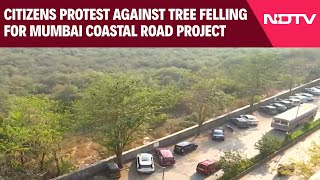 Mumbai Coastal Road | Residents Protest Against Tree Felling For Mumbai Coastal Road Project