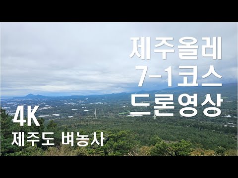 제주올레 7-1코스(서귀포-서귀포터미널) 4K 드론영상